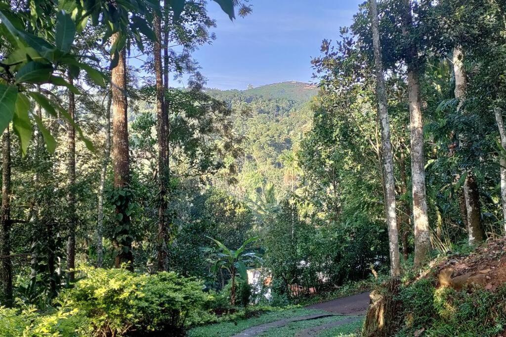 Coffee Camp Home Stay With Tree House Kattappana Екстериор снимка